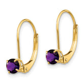 14K Amethyst Earrings February
